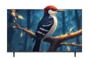 Grouhy 40 Inch HD LED TV Frameless - GLD40NA