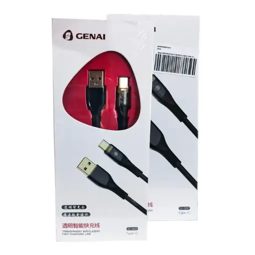 Genai Type C to Type C Q30 Cable